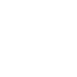 xAI